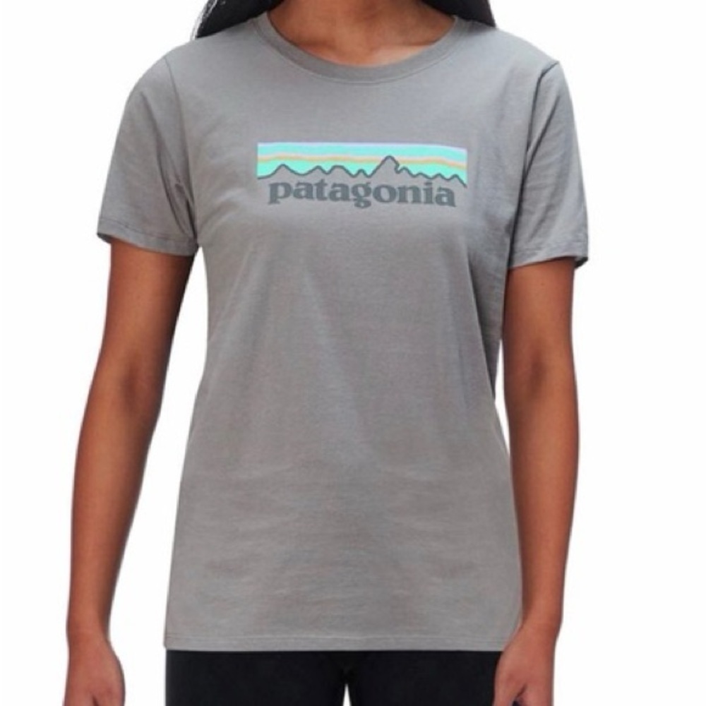 Patagonia Light Gray Organid Cotton Tee